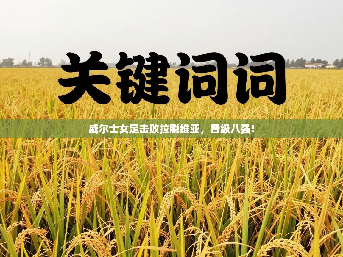 威尔士女足击败拉脱维亚,晋级八强! 第2张